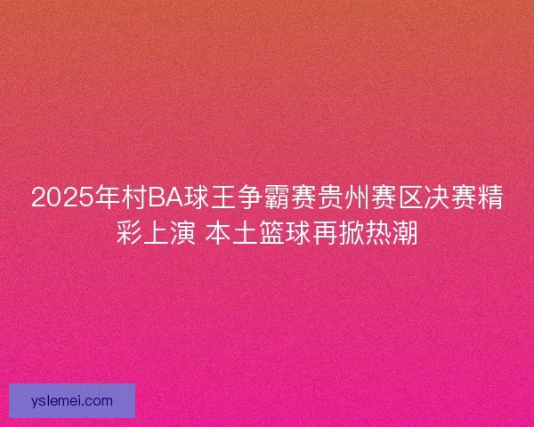 2025年村BA球王争霸赛贵州赛区决赛精彩上演 本土篮球再掀热潮